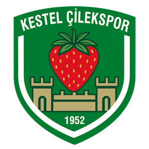 Home Logo